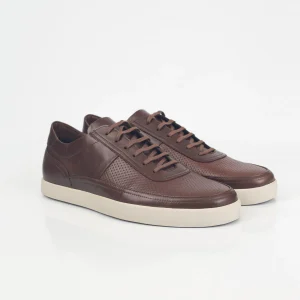 Zapato Alexander Sport
