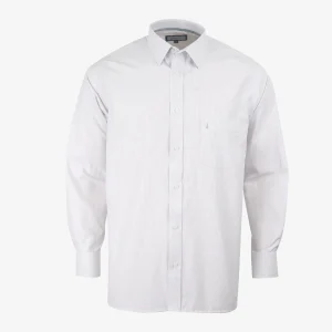 Camisa Regular Manga Larga Gris Claro - Kosta Azul