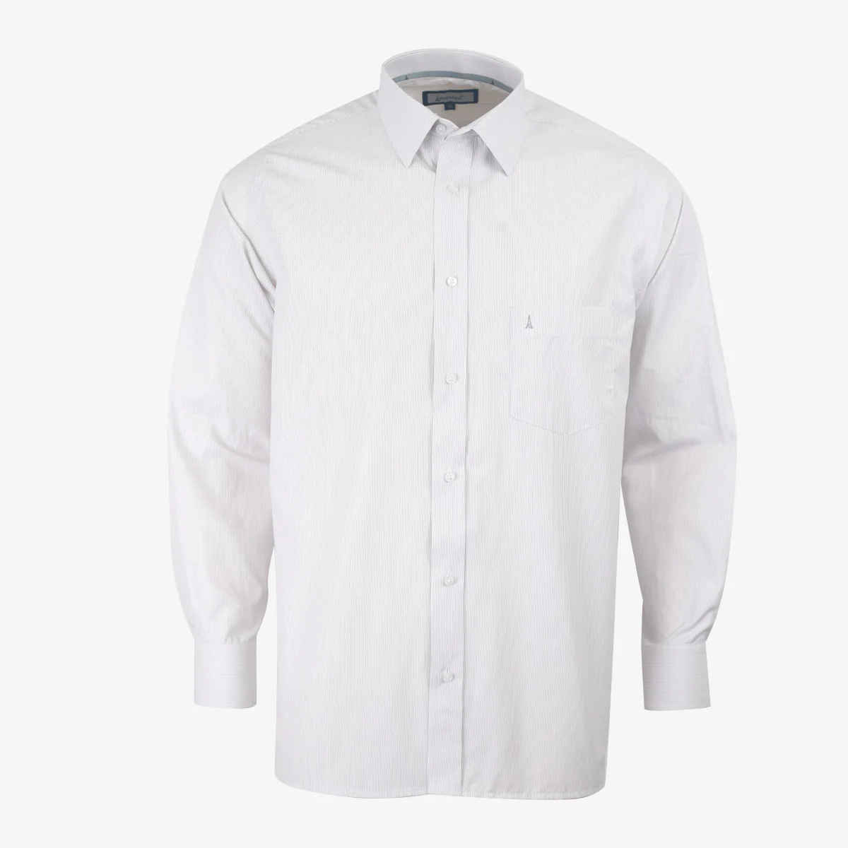 Camisa Regular Manga Larga Gris Claro - Kosta Azul