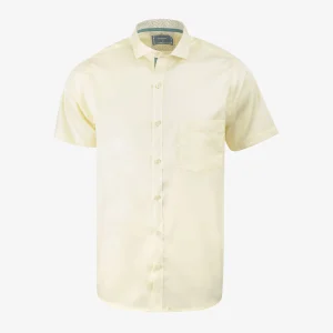 Camisa Regular Manga Corta Amarillo Claro - Kosta Azul