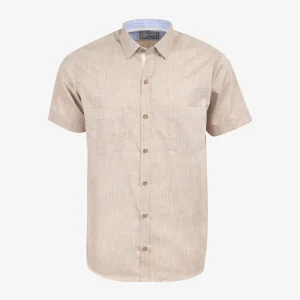 Camisa Regular Sport Café Medio - Kosta Azul