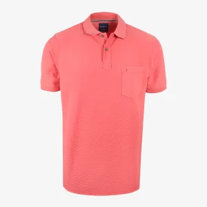 Polo Regular Rosado Oscuro - Kosta Azul