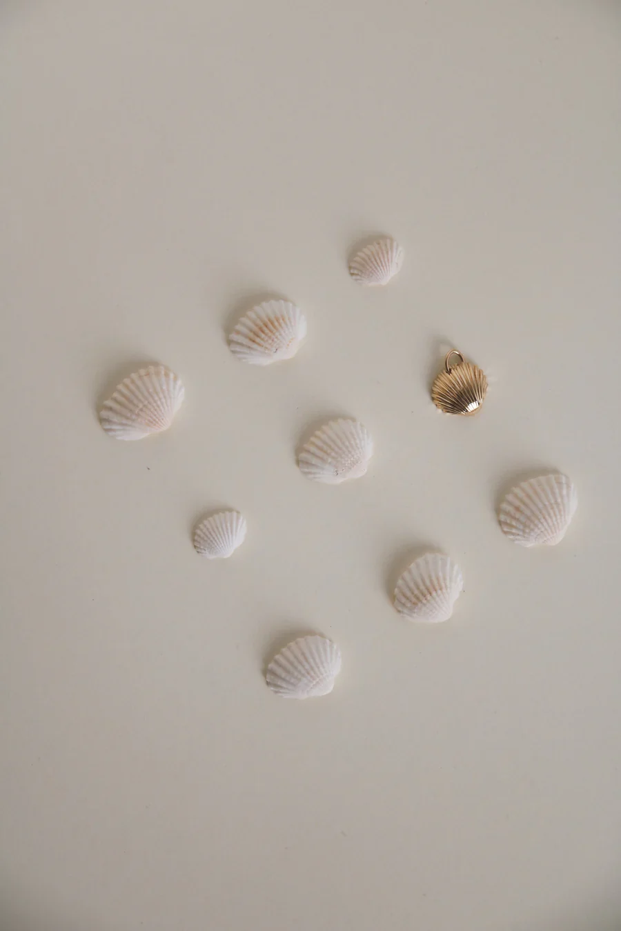 COLGANTE CONCHA - Imagen 3