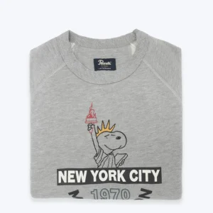 SUDADERA GRIS SNOOPY INTHEBOX