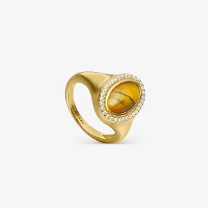 ANILLO SELLO OJO DE TIGRE (MEÑIQUE)