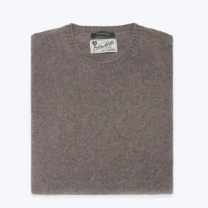 JERSEY DE CUELLO REDONDO TOPO HOMEWARD